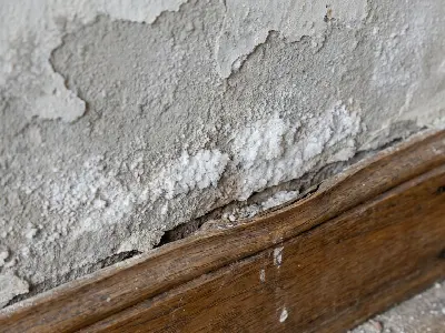 Salpêtre et plinthes qui se décollent